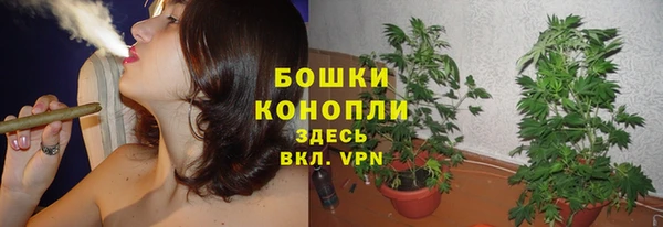 гашик Вяземский