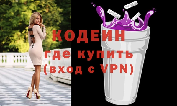 гашик Вяземский