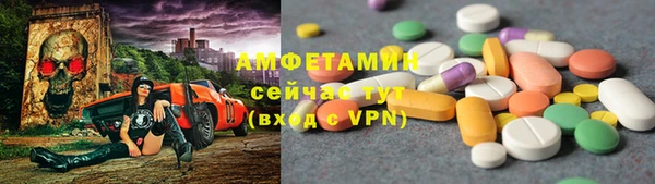 стафф Вязьма