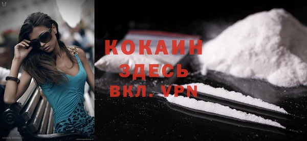 гашик Вяземский