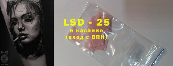 гашик Вяземский