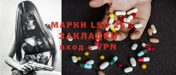 гашик Вяземский