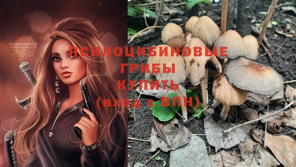 гашик Вяземский