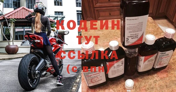 гашик Вяземский