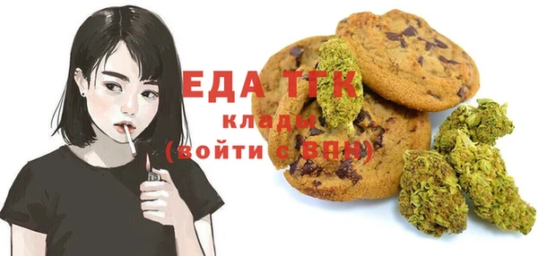 гашик Вяземский
