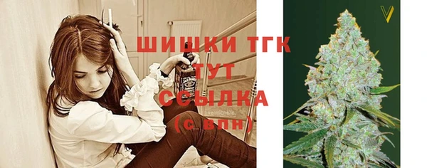 гашик Вяземский