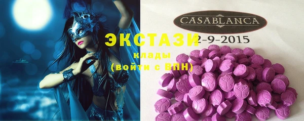 стафф Вязьма