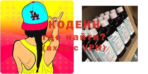 гашик Вяземский