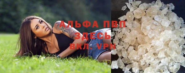 стафф Вязьма
