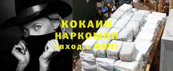 стафф Вязьма