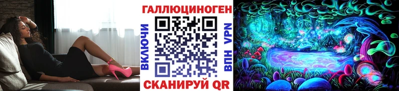 где можно купить наркотик  площадка какой сайт  Галлюциногенные грибы Cubensis  Курган 